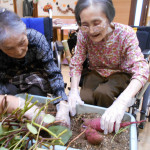 芋ほり福岡木下